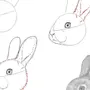 Как нарисовать кролика карандашом поэтапно для детей