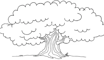 Крона дерева рисунок