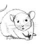 Как Нарисовать Крысу