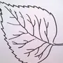 Как нарисовать листик