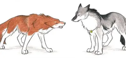 Как нарисовать лису и волка