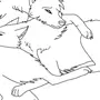 Как нарисовать лису и волка