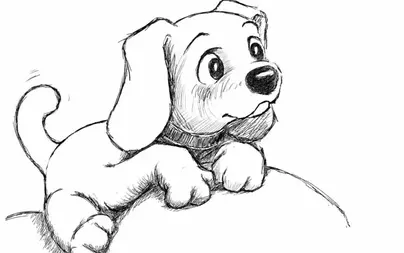 Как нарисовать маленькую собаку