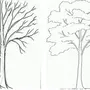 Как правильно нарисовать дерево