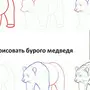 Как нарисовать медведя поэтапно для детей