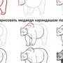 Как Нарисовать Медведя Поэтапно Для Детей