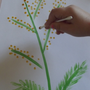 Как нарисовать мимозу красками для детей
