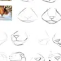 Как нарисовать морду кота