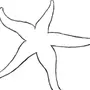 Как нарисовать морскую звезду