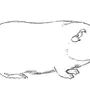 Как нарисовать морскую свинку