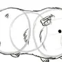 Как нарисовать морскую свинку