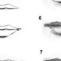 Как нарисовать мужские губы