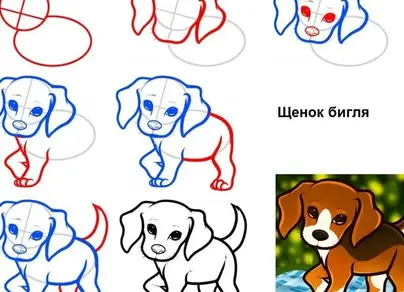 Как нарисовать мультяшную собаку