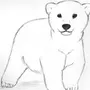 Как нарисовать настоящего медведя