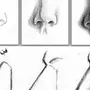Как нарисовать нос поэтапно