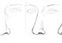 Как нарисовать нос поэтапно
