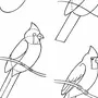 Как Нарисовать Птичку