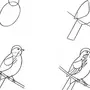 Как нарисовать птицу на ветке