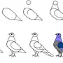 Как Нарисовать Птицу На Ветке