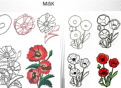 Как нарисовать растения