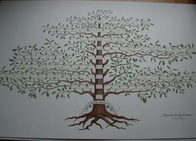 Как нарисовать родовое дерево