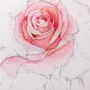 Как Нарисовать Розу Акварелью