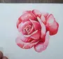 Как Нарисовать Розу Гуашью