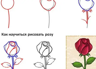 Роза рисунок для детей