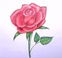 Как нарисовать розу на 8 марта
