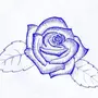 Роза Рисунок Ручкой