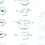 Как Нарисовать Рот Человека