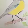 Синичка птички рисунок