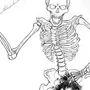 Как нарисовать скелета