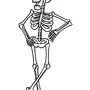 Скелет Рисунок Легкий