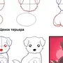 Рисунок собаки для детей 5 лет