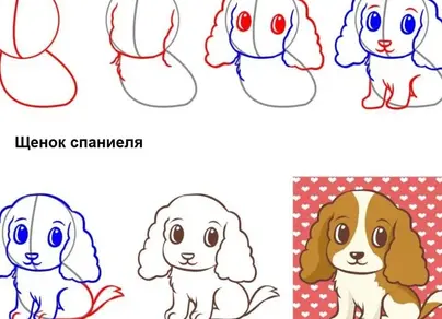 Нарисовать собаку карандашом поэтапно для начинающих