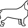Как нарисовать собаку таксу