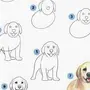 Как нарисовать щенка