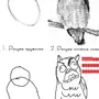 Как нарисовать сову мем