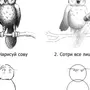 Как нарисовать сову мем