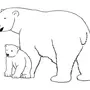 Медведь На Задних Лапах Рисунок