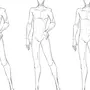Как нарисовать мужское тело