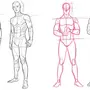 Как нарисовать тело человека