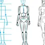 Как нарисовать тело человека в полный рост