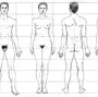 Как нарисовать тело человека в полный рост