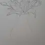 Как нарисовать тюльпаны в вазе