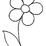 Как нарисовать цветок легко и просто