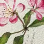 Как нарисовать цветы акварелью