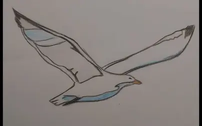 Чайка нарисовать