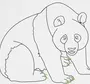 Как легко нарисовать медведя